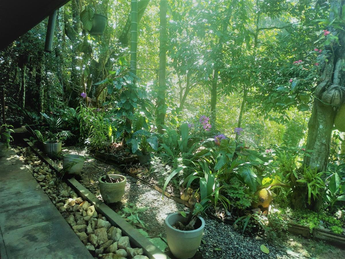 Samadhi Nature Resort Ella Exterior photo